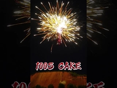 Fábrica al por mayor 100 tiros Torta Fuegos artificiales pirotecnia con gran efecto Liuyang 1.4G Torta fuegos artificiales