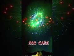 Fábrica china Liuyang Fuegos artificiales de 2 pulgadas Torta pirotecnia china mayorista Fuegos artificiales de 2'