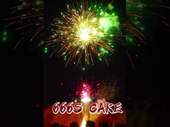 Fuegos artificiales de nueva llegada