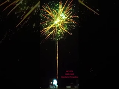 Liuyang pirotecnia FAFBWL 168 disparos de consumo al por mayor gran torta fuegos artificiales 2025 nuevos fuegos artificiales