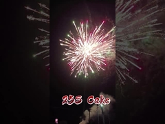 Fábrica de Mandarín Liuyang Fuego de papel al por mayor 1.4g pirotecnia 2 pulgadas 25 disparos torta Fuego de artificio