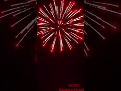Fuegos artificiales de nueva llegada