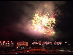 Fuegos artificiales de nueva llegada