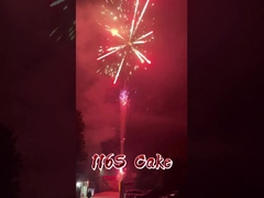 Fábrica Liuyang 116 disparos Fuegos artificiales mayoristas pirotecnia china Fuegos artificiales de pasteles al aire libre