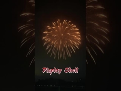 Fuegos artificiales de proyectiles de artillería pirotécnica de exhibición profesional de alta calidad de 1.3G de Liuyang