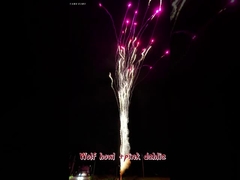 Fuegos artificiales calientes chinos Aullido de lobo y dalia rosa Torta al por mayor al aire libre Torta de fuegos artificiales estándar