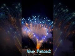 Fábrica de fuegos artificiales de 0.8 pulgadas, 300 disparos, 1.3g, fuegos artificiales profesionales tipo pastel, pirotecnia, saludo