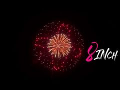 Liuyang Mandarin 1.3G UN0335 proyectiles de exhibición profesional fuegos artificiales de mortero de 8 pulgadas