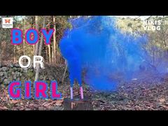 Fábrica china de fuegos artificiales de humo de color portátiles para bodas diurnas, fiestas y revelación de género