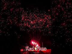 Liuyang Fuegos Artificiales Suministros 56 Disparos Saludo Baterías de Pastel al Aire Libre Fuegos Artificiales de Ciruela Roja Pirotecnia