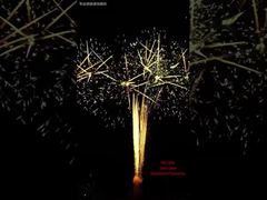 Eventos de fuegos artificiales de pastel de festival de 100 disparos, pirotecnia profesional para exteriores, fuegos artificiales 1.3G