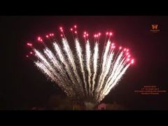 Fuegos artificiales profesionales personalizables de pastel con forma de S de fila única de 1,2 pulgadas, 13 disparos chinos, 1,3G