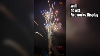 Pirotecnia al por mayor de fuegos artificiales de pastel de aullido de lobo personalizado de fábrica china de 100 disparos