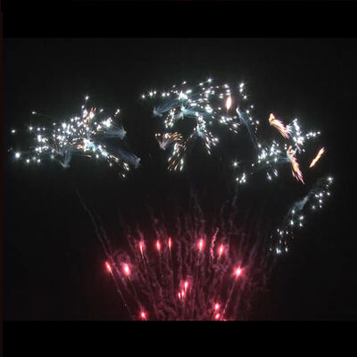 US CE 1.3G Un0335 Customized Fireworks Wedding Professional 1.2 Inch 100s Cake Firework Wholesale Pyrotechnics Batteries Salute