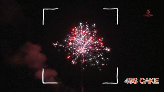 Chino Liuyang 49 fuegos artificiales 2022 de las tortas del consumidor de los tiros
