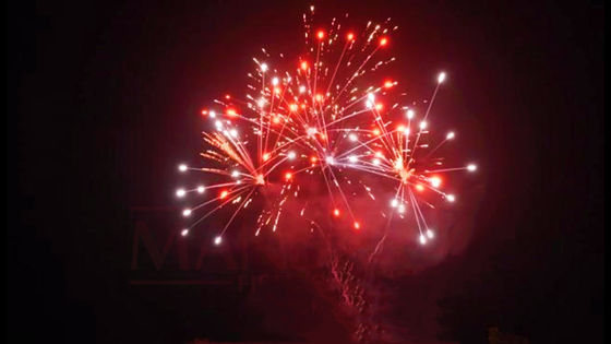 Liuyang 20 tiros 500g modificó los fuegos artificiales de la torta para requisitos particulares por Año Nuevo