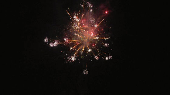 fuegos artificiales en línea del consumidor de 1.4g Un0336 25 fuegos artificiales de la torta del saludo de los tiros 500g