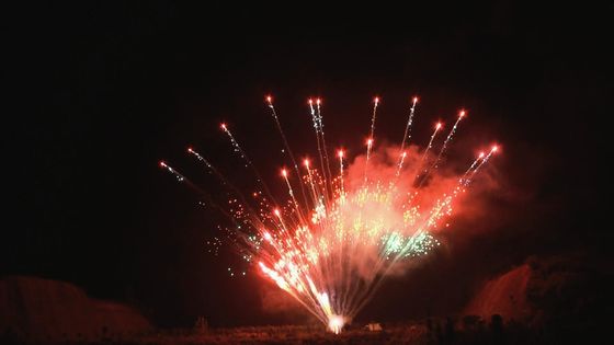 La pirotecnia china modificada para requisitos particulares exhibe el tiro profesional de los fuegos artificiales 1.3g 100 de la torta