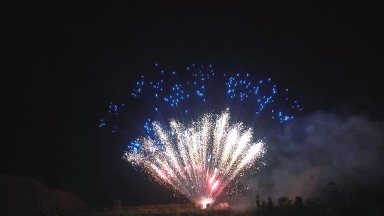 Fuegos artificiales profesionales de la torta de Liuyang de la pirotecnia del mandarín 100 tiros