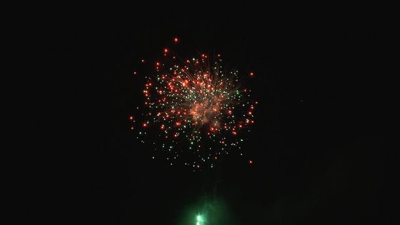 Tiros adaptables de los fuegos artificiales profesionales al aire libre de la torta del festival de la Navidad 49