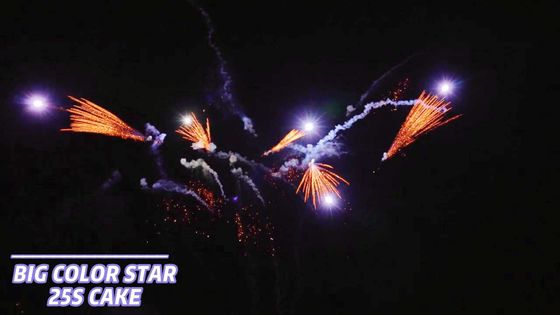 25 tiros que los fuegos artificiales de la torta del consumidor avivan forman la pirotecnia 1.4g Un0336
