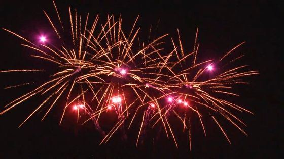 Mandarin Customized 1.4g Outdoor 20 Shots Celebration Cake Pyrotechnics Supplies Fan Shape Fireworks Cake