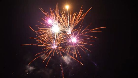 21 fuegos artificiales al aire libre pirotécnicas de la torta de los buenos efectos de los tiros para la celebración