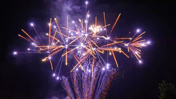 CE 180 fuegos artificiales de la torta del consumidor de los tiros de Liuyang para la celebración del Año Nuevo de la Navidad