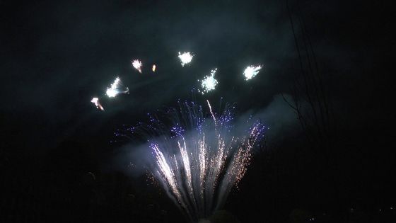 El mandarín exhibe 90 tiros saluda los fuegos artificiales profesionales de la torta de la pirotecnia para el partido