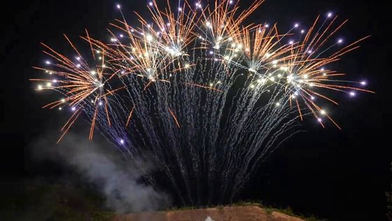 Pirotecnia del mandarín 1.3g 13 fuegos artificiales profesionales de la fila de los tiros solos