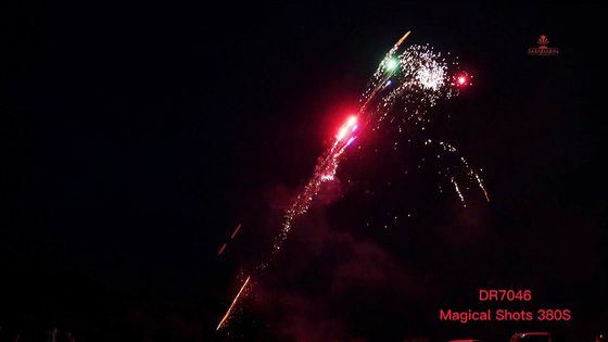 El escupitajo de 380 tiros gotea a la familia que los surtidos de la pirotecnia embalan el fuego artificial
