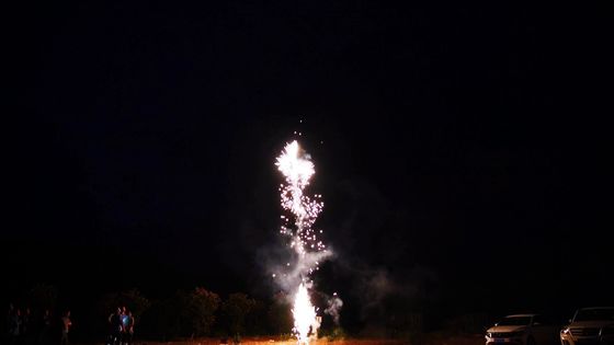 El escupitajo de la pirotecnia 49s de la caja de los paquetes de la familia de los surtidos de los fuegos artificiales gotea los fuegos artificiales