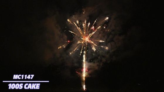 Liuyang especial efectúa la pirotecnia profesional de los fuegos artificiales de la torta 100 tiros
