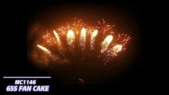 Pirotecnia de los fuegos artificiales del mandarín 65 fuegos artificiales en abanico de los tiros