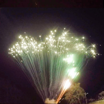 Exhiba la pirotecnia grande profesional que 49 tiros apelmazan saludos de los fuegos artificiales