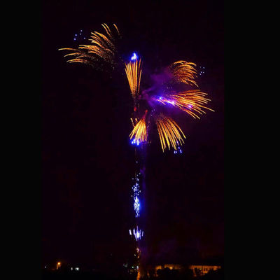 352 tiros modificaron los fuegos artificiales del Año Nuevo para requisitos particulares que los petardos grandes pirotécnicas apelmazan los petardos para la celebración