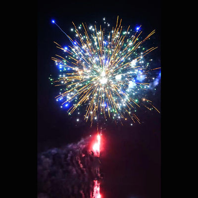 Fuegos artificiales al aire libre chinos de la torta del saludo de la pirotecnia de los fuegos artificiales de la torta de los tiros de 2 pulgadas 49
