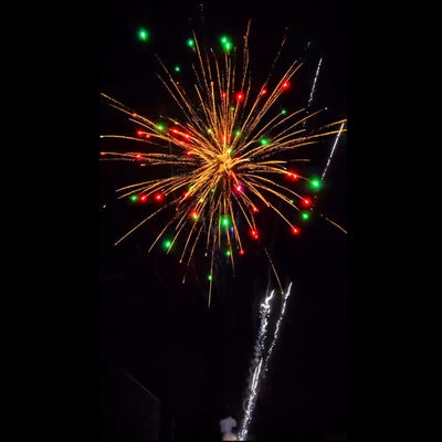 Fuegos artificiales en exhibición para la celebración