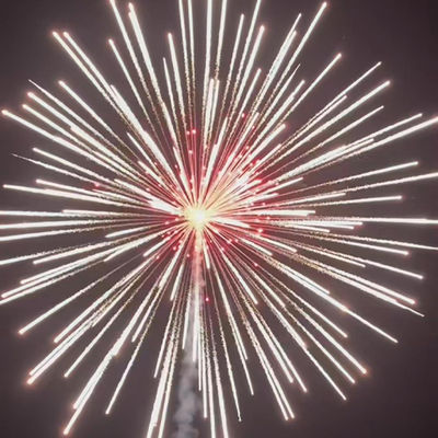 Fuegos artificiales profesionales chinos para la celebración del Año Nuevo 6 pulgadas de proyección de bolas