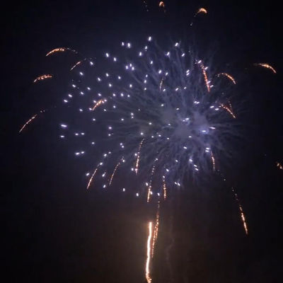 China 25 tiros Torta Fuegos artificiales pirotecnia para reuniones de celebración