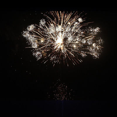 Liuyang 104 disparos Consumidor al aire libre Aullador lobo fuegos artificiales pastel