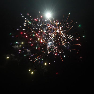 China pirotecnia pastel de consumo al aire libre fuegos artificiales 49 disparos