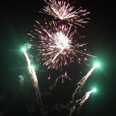 China 204 disparos personalizados de Año Nuevo pirotécnica pastel de consumo fuegos artificiales para la celebración