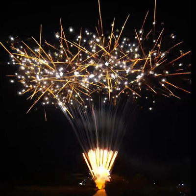 China Año Nuevo de fuegos artificiales personalizados Torta 100 disparos Pirotécnica Torta de consumo Fuegos artificiales
