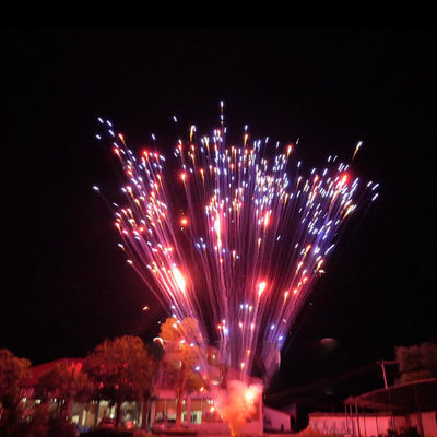 Fuegos artificiales de fábrica china pirotecnia 1.2 pulgadas 24 disparos torta fuegos artificiales para la celebración 1.4g Un0336 pirotecnia