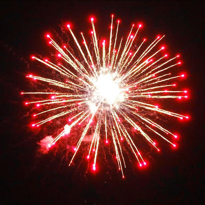 China 4 pulgadas 16 tiros de consumo torta fuegos artificiales de 1.4G Liuyang fuegos artificiales profesionales proveedor de fuegos artificiales personalizados