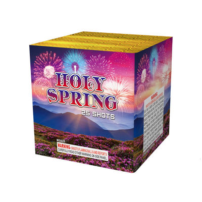 Fábrica de nuevos fuegos artificiales de pasteles pirotecnia 25 disparos fuegos artificiales de pasteles chinos djibouti fuegos artificiales al por mayor 2025