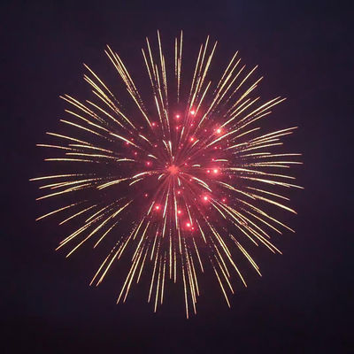 Fuegos artificiales Mandarin 2025 Fábrica china Liuyang Display de pirotecnia proyectiles Fuegos artificiales de 8 pulgadas 1.3G Fuegos artificiales profesionales de concha