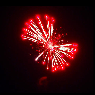 Liuyang Mandarin 1.3g Un0335 Fuegos artificiales 4''Inch Display Conchas Fuegos artificiales pirotecnia profesional Conchas de bolas para la venta