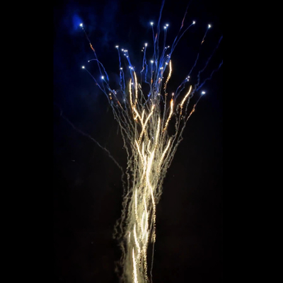China Mayorista pirotecnia Año Nuevo Lobo aullido y pastel de dália azul fuegos artificiales pastel de fuegos artificiales de Navidad